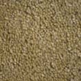 Durham Twist (Free Fitting & Free Underlay) at Kings of Nottingham for the best fully fitted carpet prices in the UK.